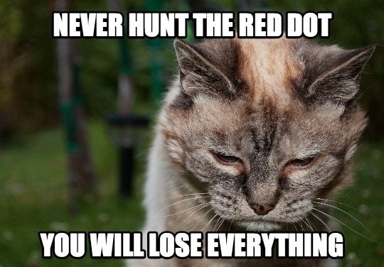 Advice from a wise old cat