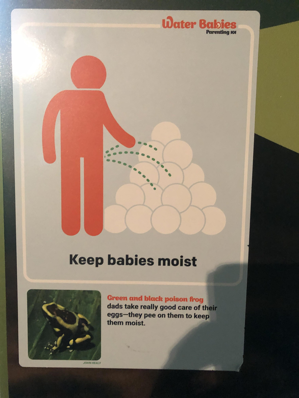 advice from the vancouver aquarium