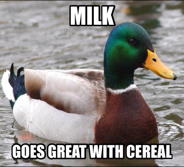 Advice Mallard lately