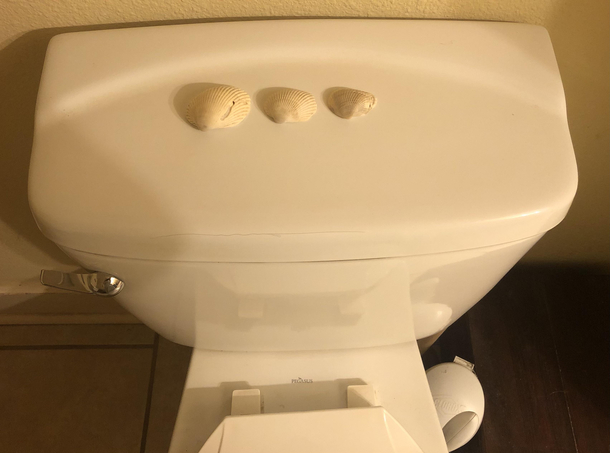ADVICE NEEDED at a friends house and demolition man never explained how this works