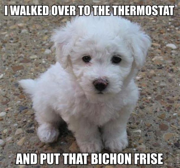 After all these are the dog days of summer