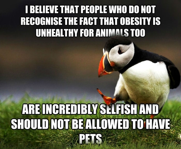 After being badmouthed and talked down to on raww this is what I have to say