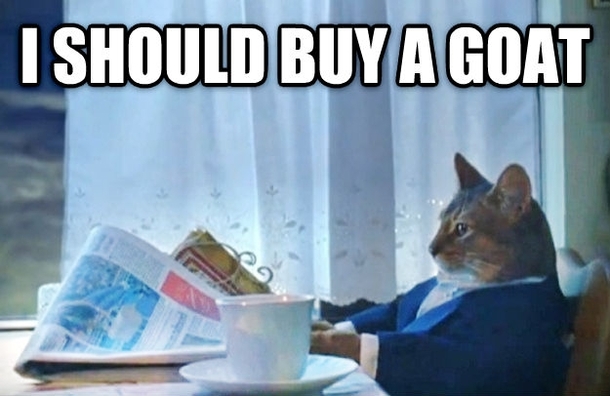 After cutting my lawn twice in one week