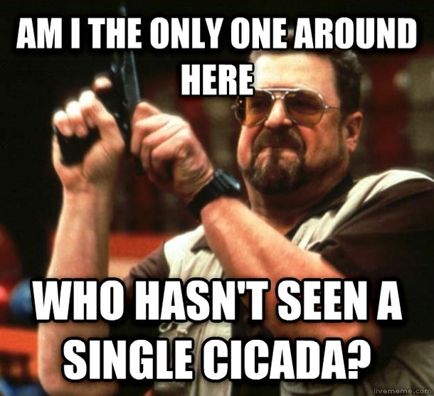 After hearing about how theyd be emerging by the billion