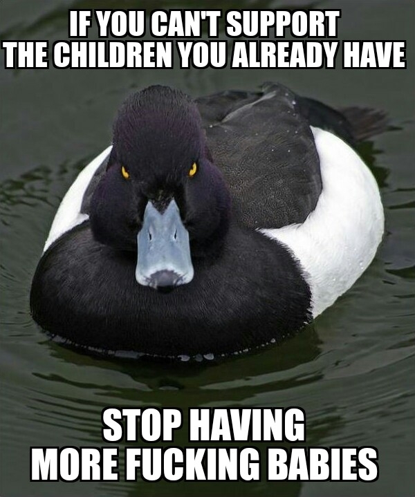 After hearing about my sister in laws third pregnancy today