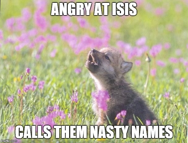 After hearing that the world leaders have agreed to call ISIS Daesh a name the terrorists hate