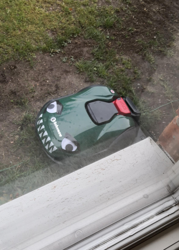 After I hurt my foot mowing the lawn my wife bought and decorated a robomower