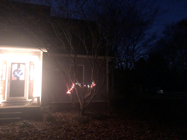 After putting lights on this tree with my dad he said Kind of Charlie Brown Well thats  for you