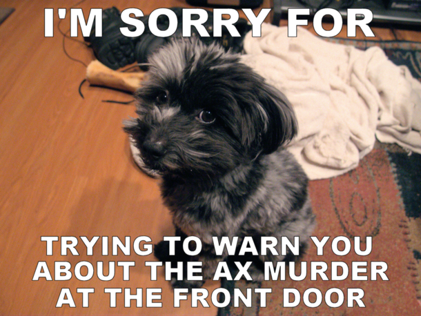 After scolding my puppy for barking at the UPS man Im sure this is how he feels