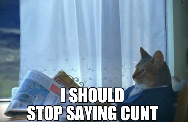 After seeing my comment karma plummet