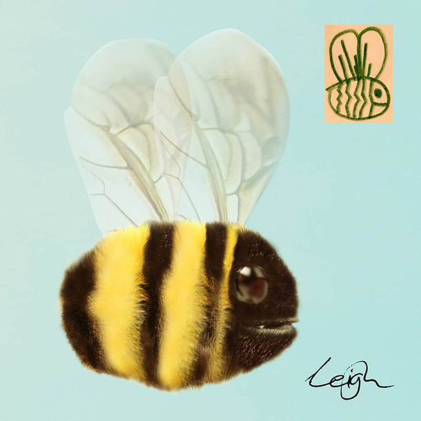After the crazy reaction to the drawing of the dog Here is a bee