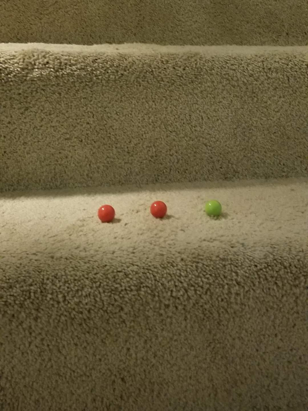 After watching Home Alone for the first time my kids started leaving traps for me around the house This wont end well