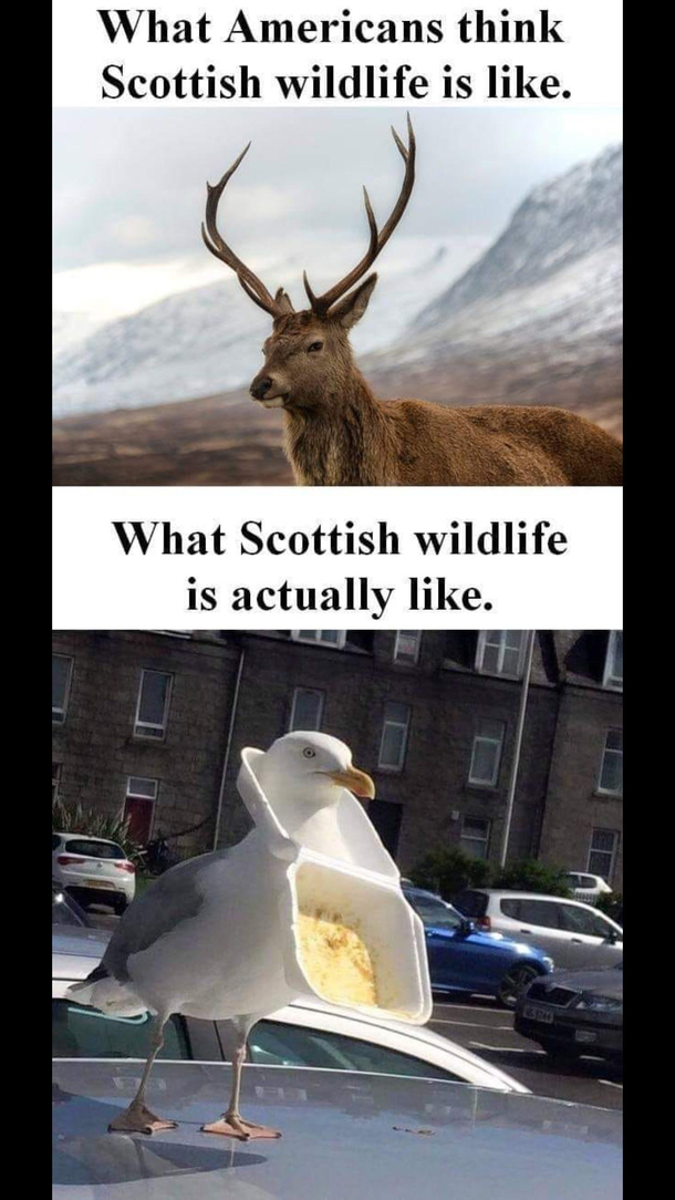 Again a matter of perspective