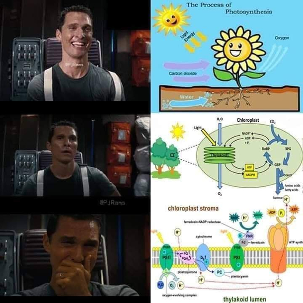 Ah shit