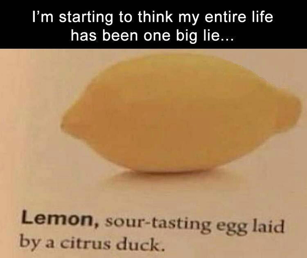 Ah yes the citrus duck