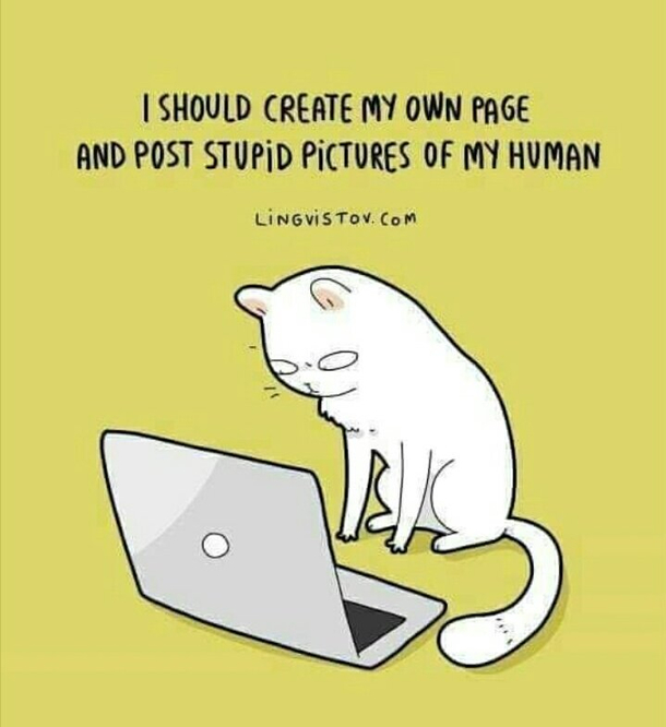 Ah yes the solution