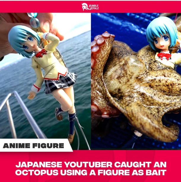 aigh tentacles