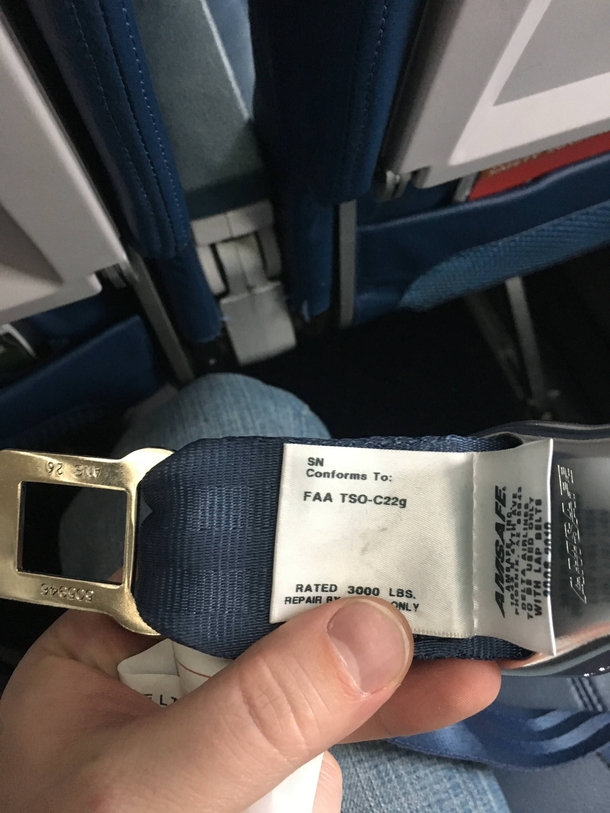 Airline seat belt extender might need sensitivity training