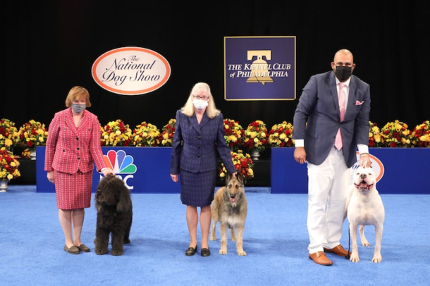 AKC National Dog Show Thanksgiving Day  Humans muzzled dogs unmasked