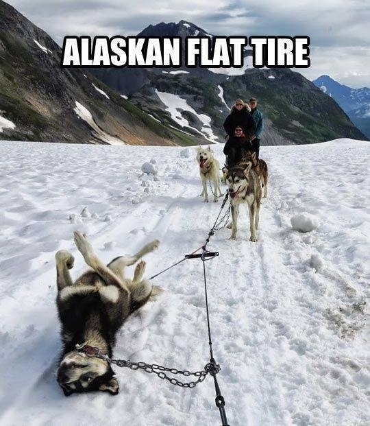 Alaskan flat tire