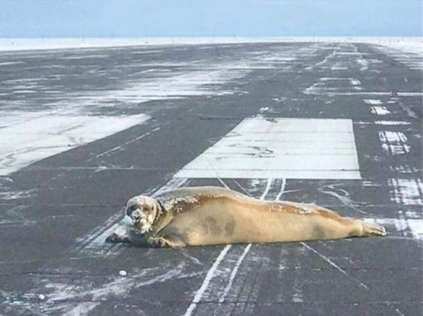 Alaskan flight delay