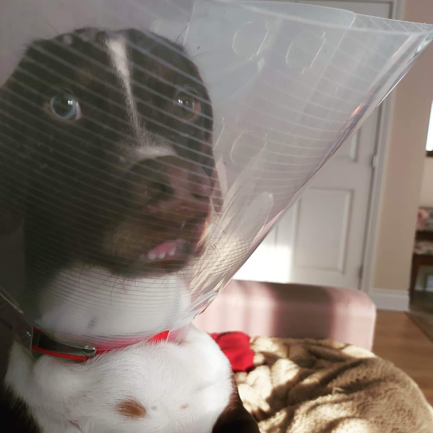 Albert isnt happy we took his nuts away