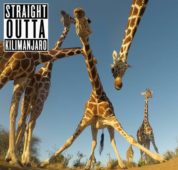 Album Drop