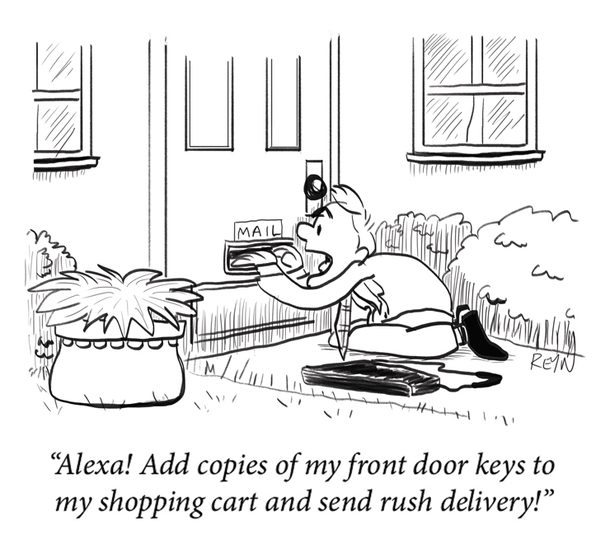Alexa Purchase 