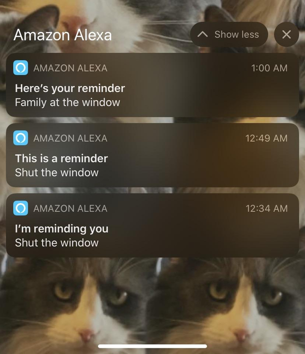 Alexa scared the shit out of me last night Still unsure what she heard there