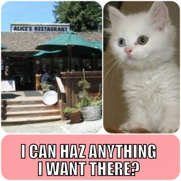 Alices Restaurant welcomes kittens so yes little kitten you can 