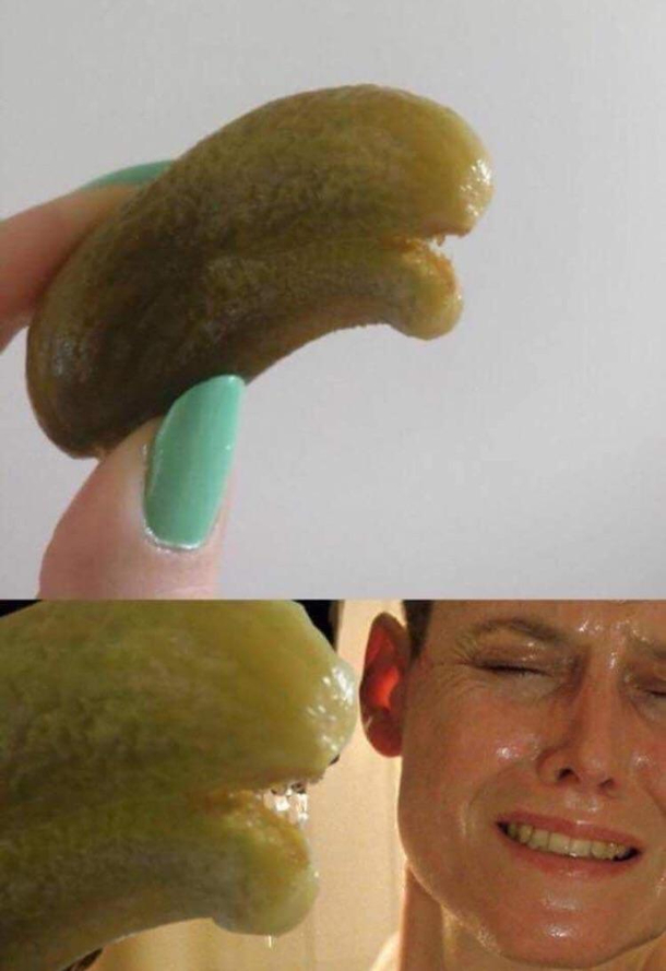 Alien pickle 