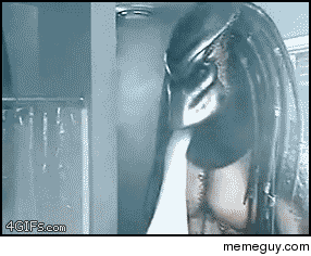Alien Vs Predator