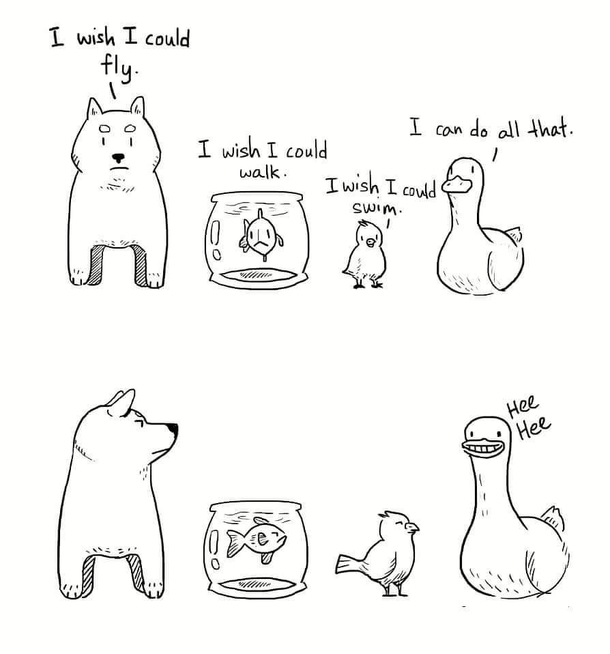 All hail ducks and geese