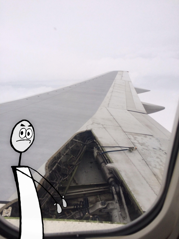 All I could think of when i saw the mid-flight plane wing