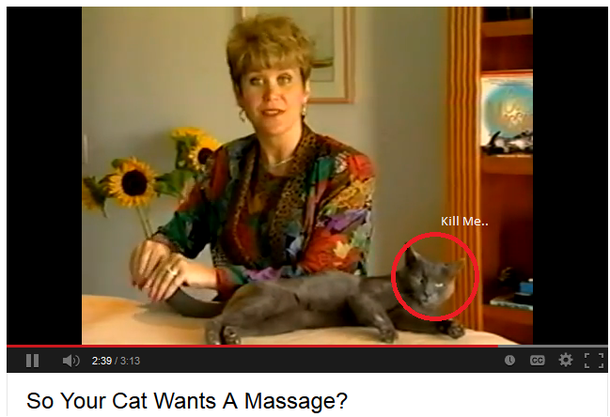 All I could think while watching Cat Massage