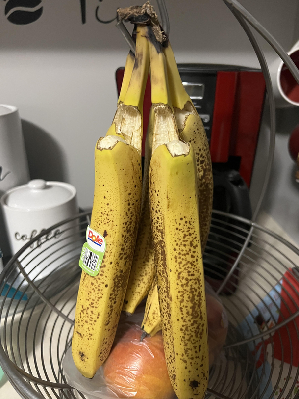 All of my bananas committed neck rope
