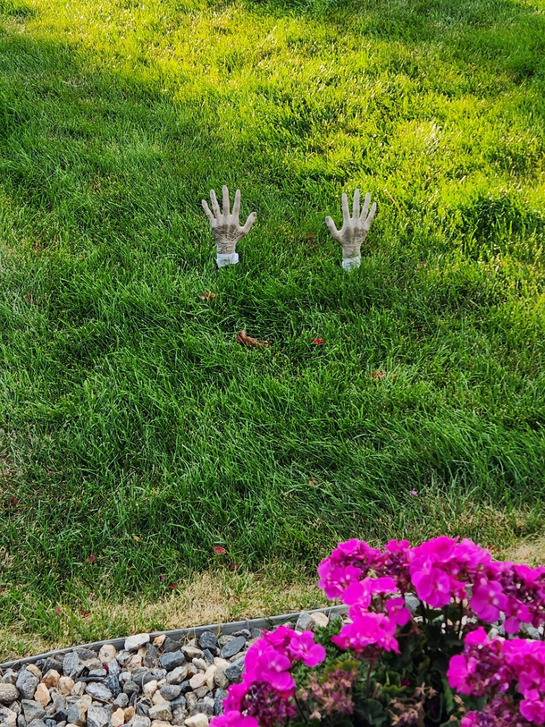 All of our Halloween decorations blew away last night except for one set of zombie hands
