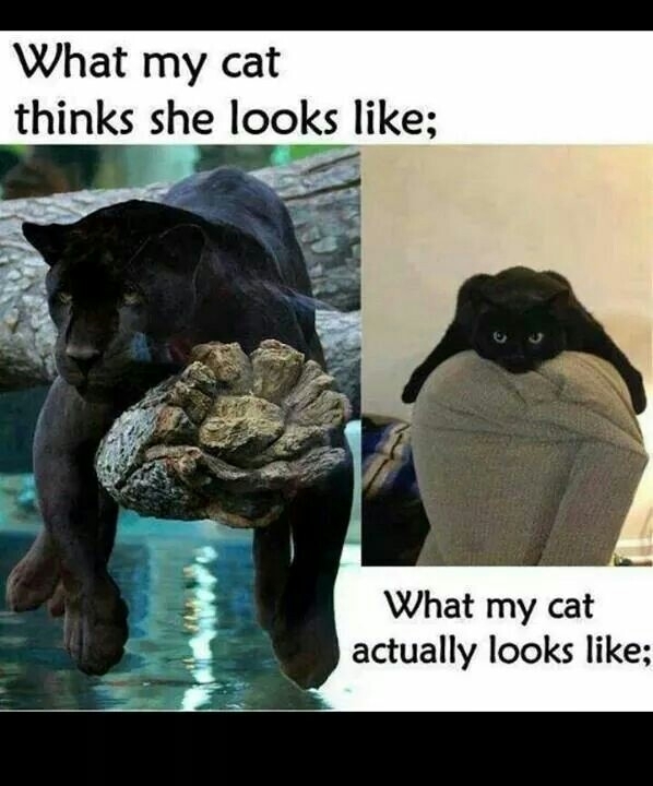 All the dang time