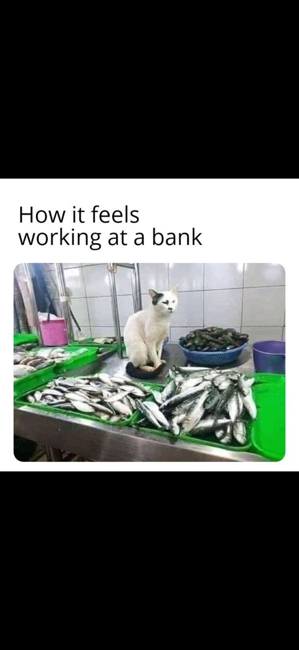 All the time