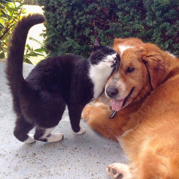 All you need is love
