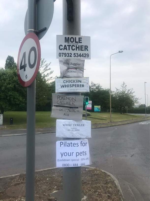 All your animal needs