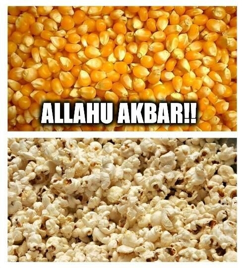 allahu akbar videos funny