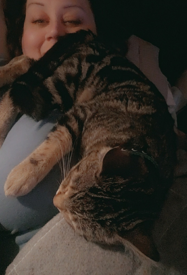 allergic to cats my cat
