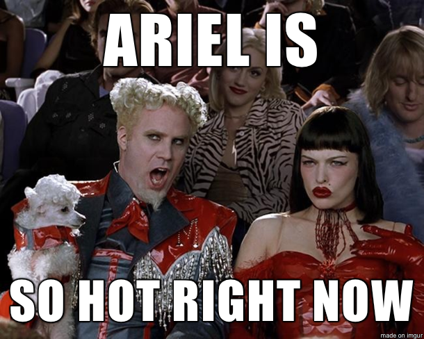 Almost every other post in my feed is about it