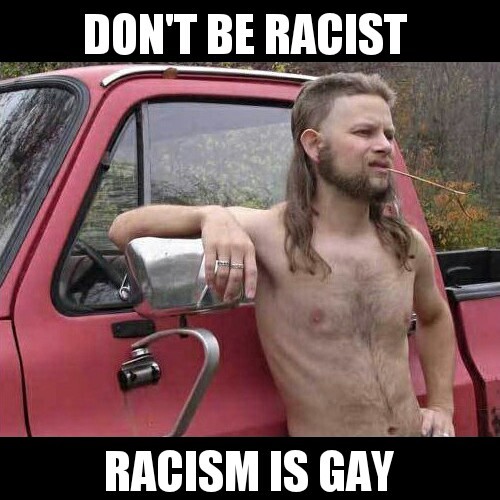 Almost Politically Correct Redneck