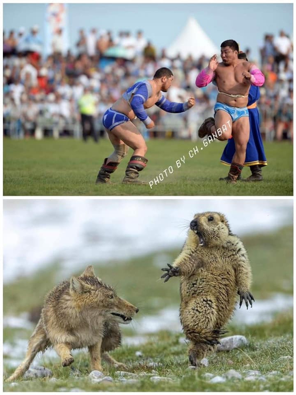 Almost same