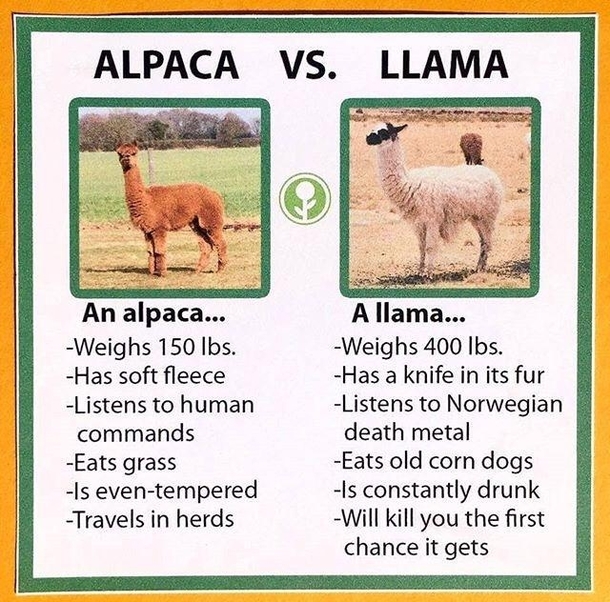 Alpaca va Llama
