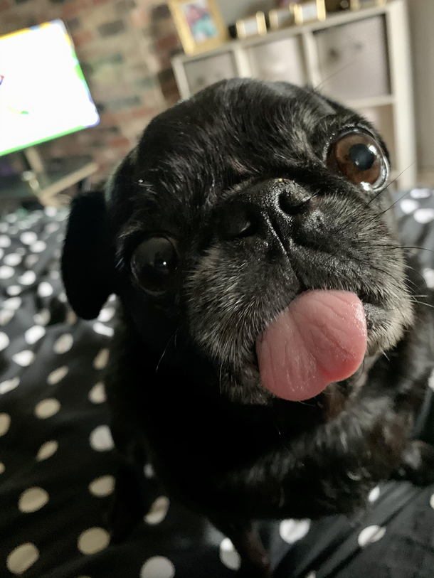 Always a derp