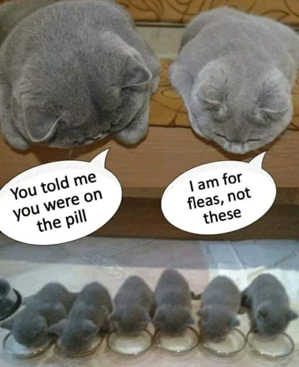 Always ask about protection