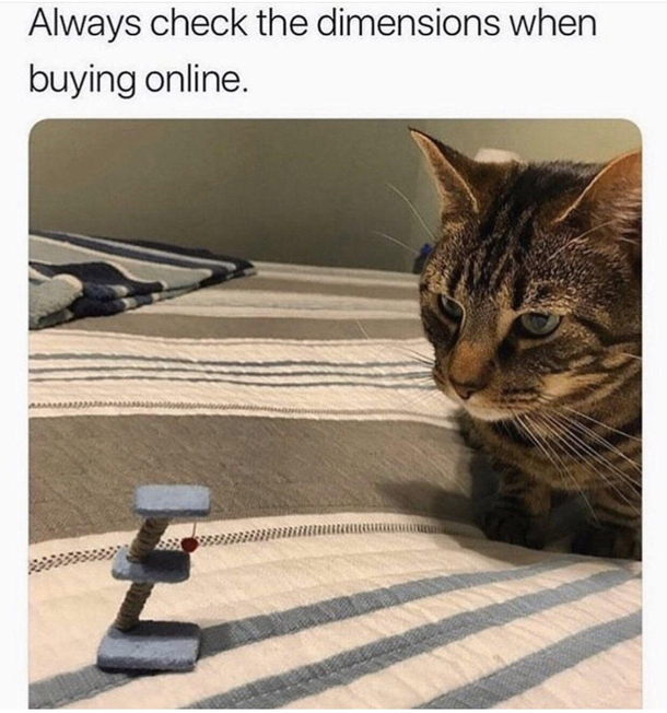 Always check dimensions in online shopping